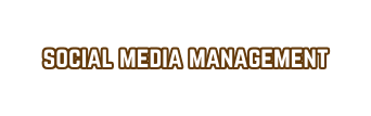 social media management